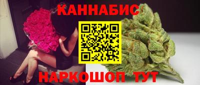 прущие крисы Можга