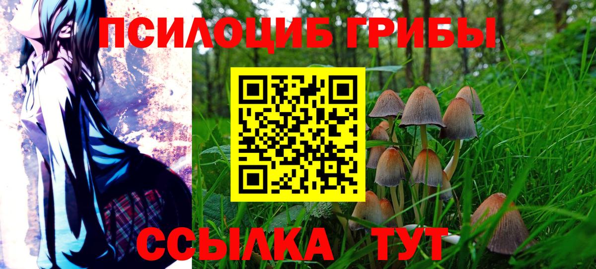 Галлюциногенные грибы Psilocybine cubensis  Вход с VPN  Барабинск 