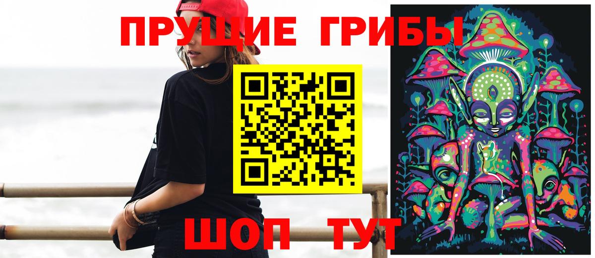 Псилоцибиновые грибы Psilocybine cubensis Барабинск